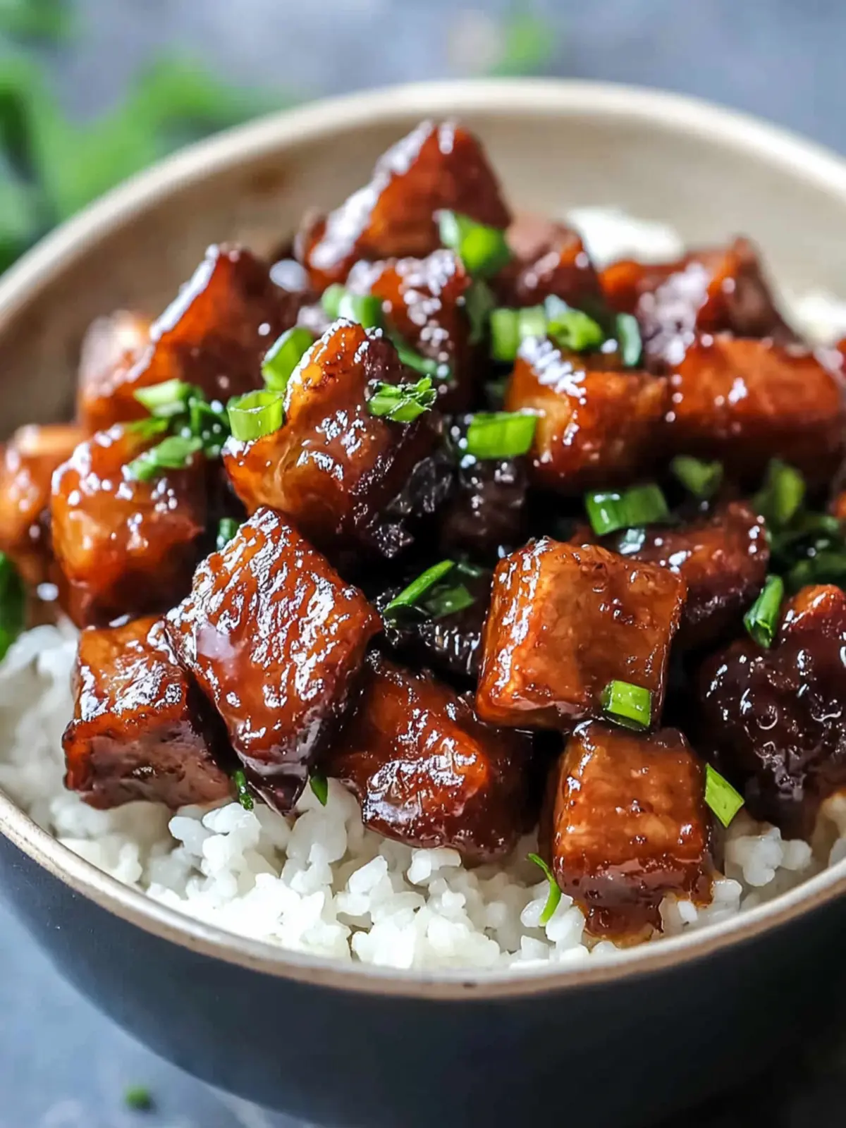 Sweet caramelized pork with rice